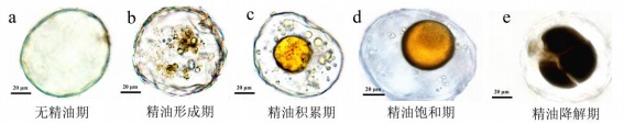 圖2無(wú)標(biāo)題.jpg